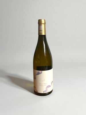 1006 - Ciels - 2023 *