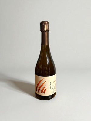 INSU - Le Noyer de l'Orme du Nord - 2021 *