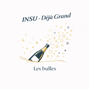 INSU - Full speed ahead #1 - 3 bouteilles